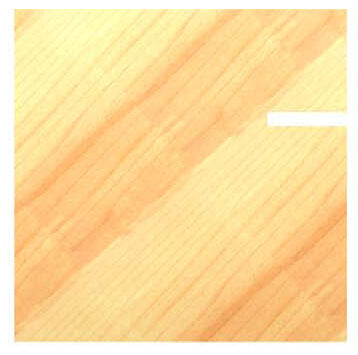 Detailansicht einer 1,5 mm Nut in Massivholz – gefräst mit dem JSO Scheibennutfräser (Bohrung 8 mm) auf einem Aufnahmedorn.