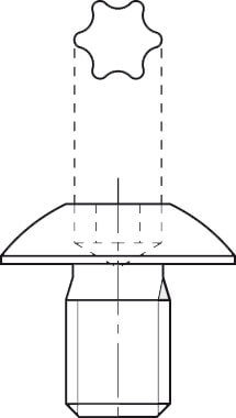 Hochfeste Torx-Klemmschraube M 4 x 4,0 mm mit großem Kopf, TX 15 Antrieb, gefertigt aus brüniertem Stahl 12.9.
